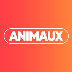 Animaux TV