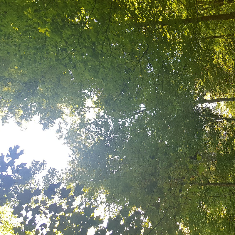 갓비갠 수목원Godbegan Arboretum