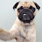 @dejgasrat's avatar