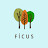 Ficus