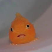 わけがわからないよ