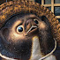-uN28ku4d3A-channel-avatar-Tanuki no Seikatsu