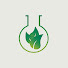 lf9c6gI_vqM-channel-avatar-Science in Hydroponics