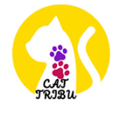 Cat Tribu