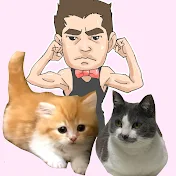 フォルテの猫部屋Forte Cats Room