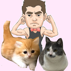 フォルテの猫部屋Forte Cats Room