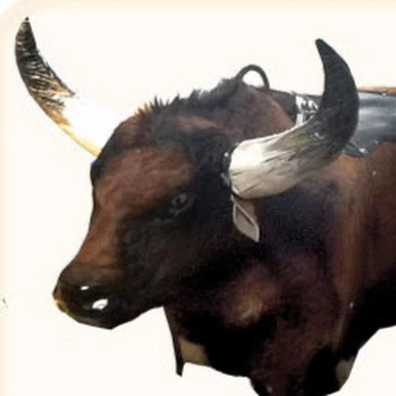 Toros Mecánicos Infladepot