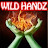 @WiLDHaNdZ