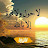 @adilkarim2764