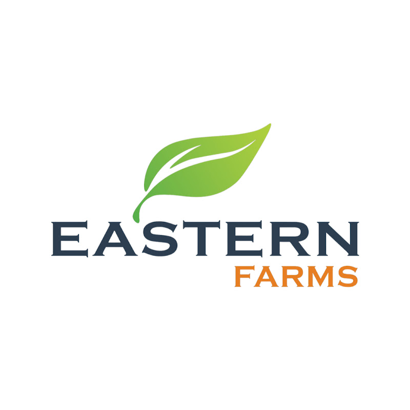 EASTERN FARMS L.L.C