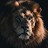 @chief3466 Avatar