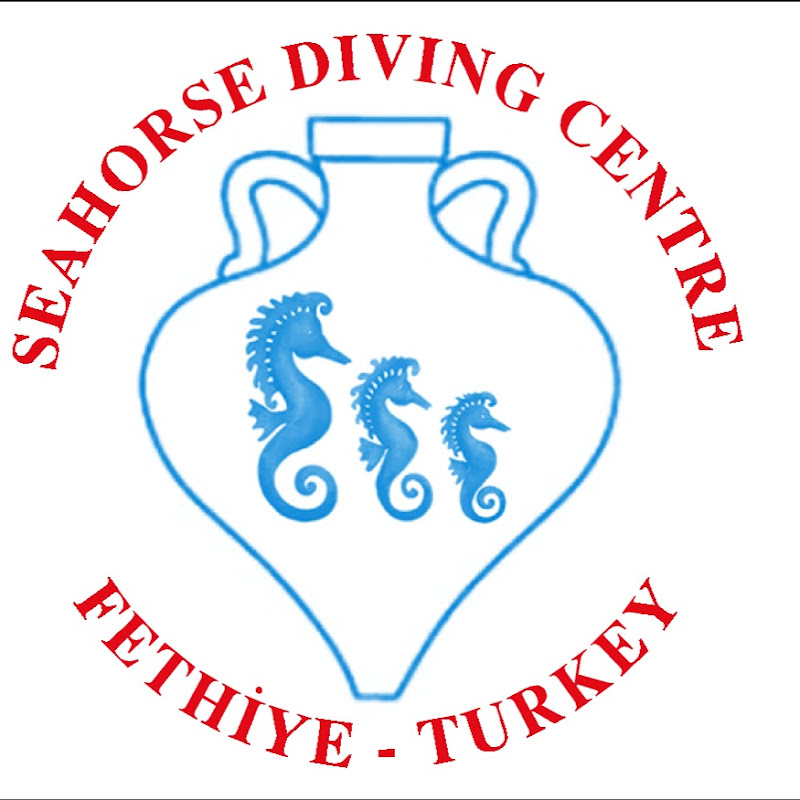 seahorseholidaysliveaboard2368