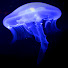 sJQhZOHqDyA-channel-avatar-gerald1064