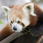 Top Animal Documentaries Avatar