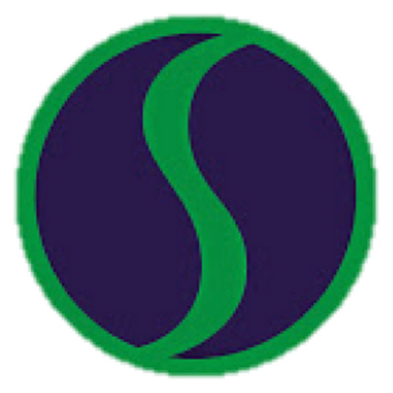 Organization Solutions LLC