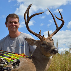 Have Bow, Will Travel net worth