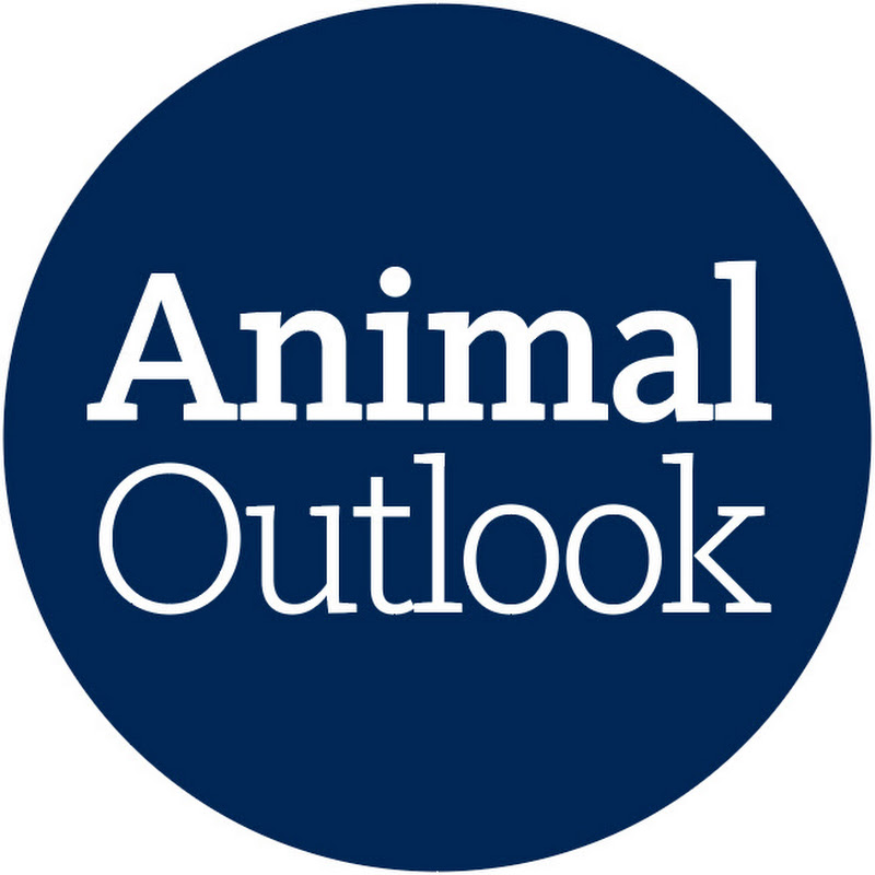 Animal Outlook