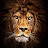 @jamesjwanczuk Avatar