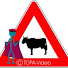 XsZP-lUsckQ-channel-avatar-Thomas Orsag