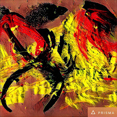 The Simpl Explanation. Ich bin Dreh mn