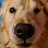 @hippotek1 Avatar