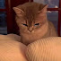 1dAGRzz7Vig-channel-avatar-pgrade