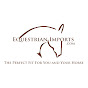 Ann Forrest - Equestrian Imports logo