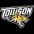 TheTowsonTigers