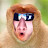 @ralkomonkey
