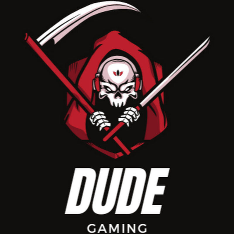 DUDE GAMING