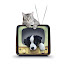 xMaS6tc4Zfg-channel-avatar-4 ZAMPE IN TV- Videoadozioni