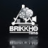 YmVz0yl_Xn0-channel-avatar-Brikkho Films
