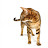 @langbangalcat865
