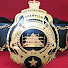 X_iGfGHlPrk-channel-avatar-AWPW - All World Pro Wrestling