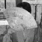 K.YUMI‐Z