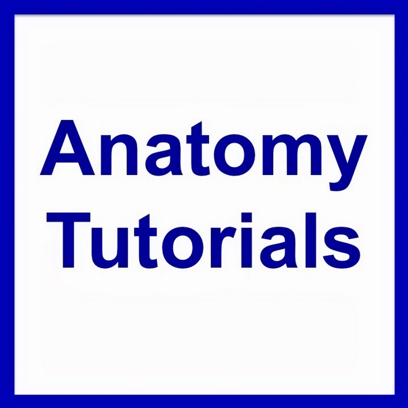 AnatomyTutorials
