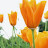 @jawahargee8728