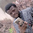 @alphabelyabense3335