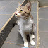 AxssYSVUImo-channel-avatar-Yukira ch.