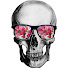 x-ybQkABPMQ-channel-avatar-Brandy's X-Ray Class