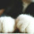 @Yun9921