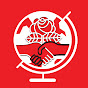 DSA International Committee logo