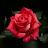 @سهيلالناصري-ض9ع