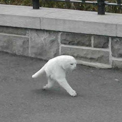 k a