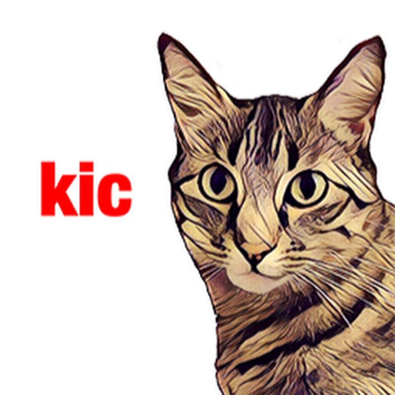 kic Gaming