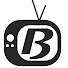 d2TRaFNiiWI-channel-avatar-Boşnak Dünyası TV