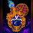 @rupsaha401's avatar