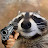 @Hanno_Hanno's avatar