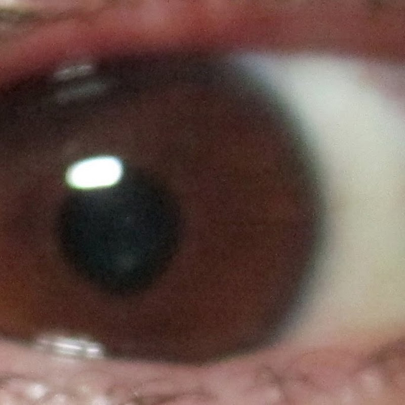THEGREENEYEDBANDIT88