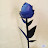 @mandasailaja6931 Avatar